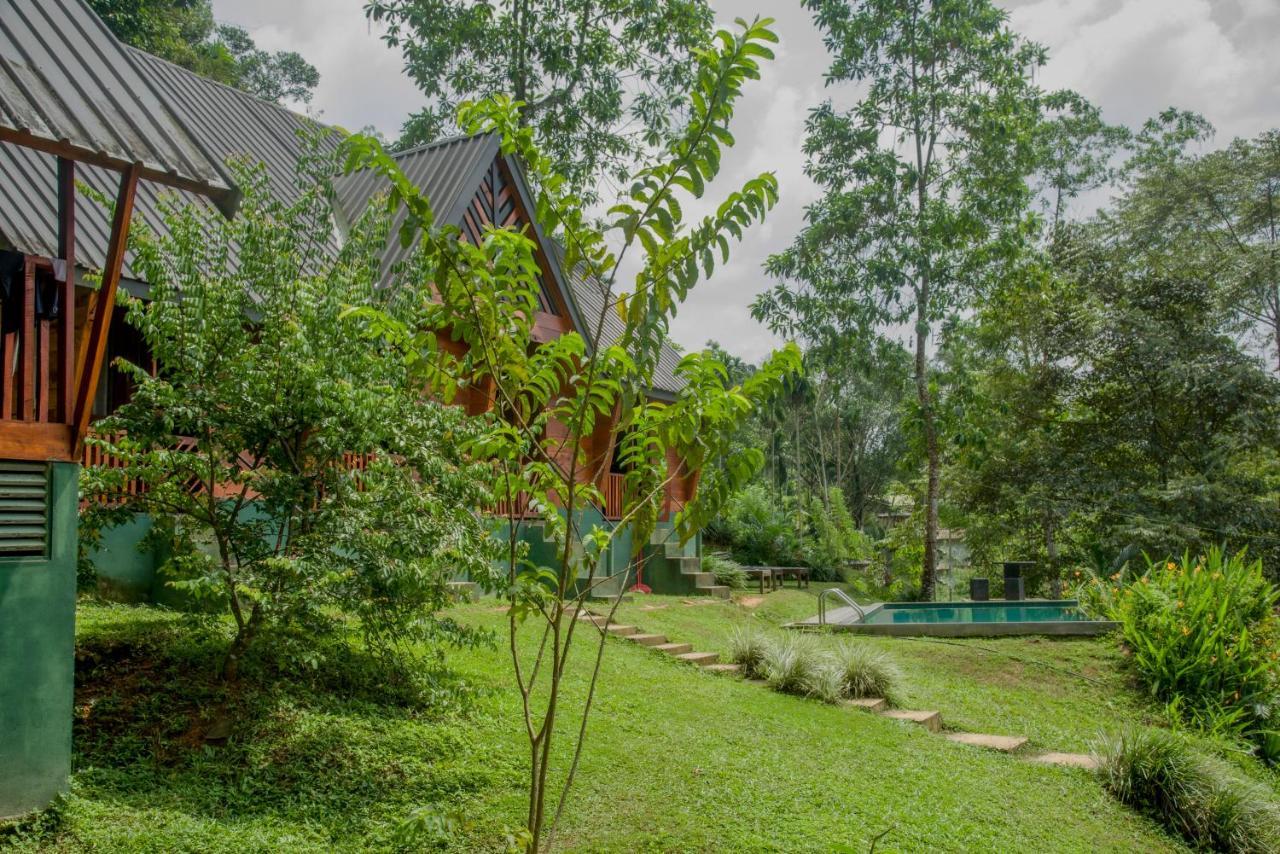 Sinharaja Forest Gate Deniyaya Exterior foto