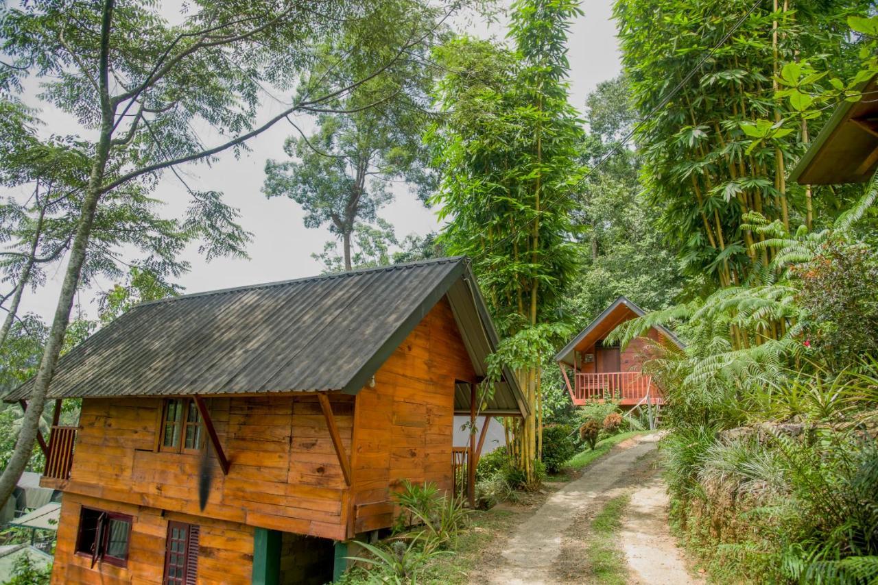 Sinharaja Forest Gate Deniyaya Exterior foto