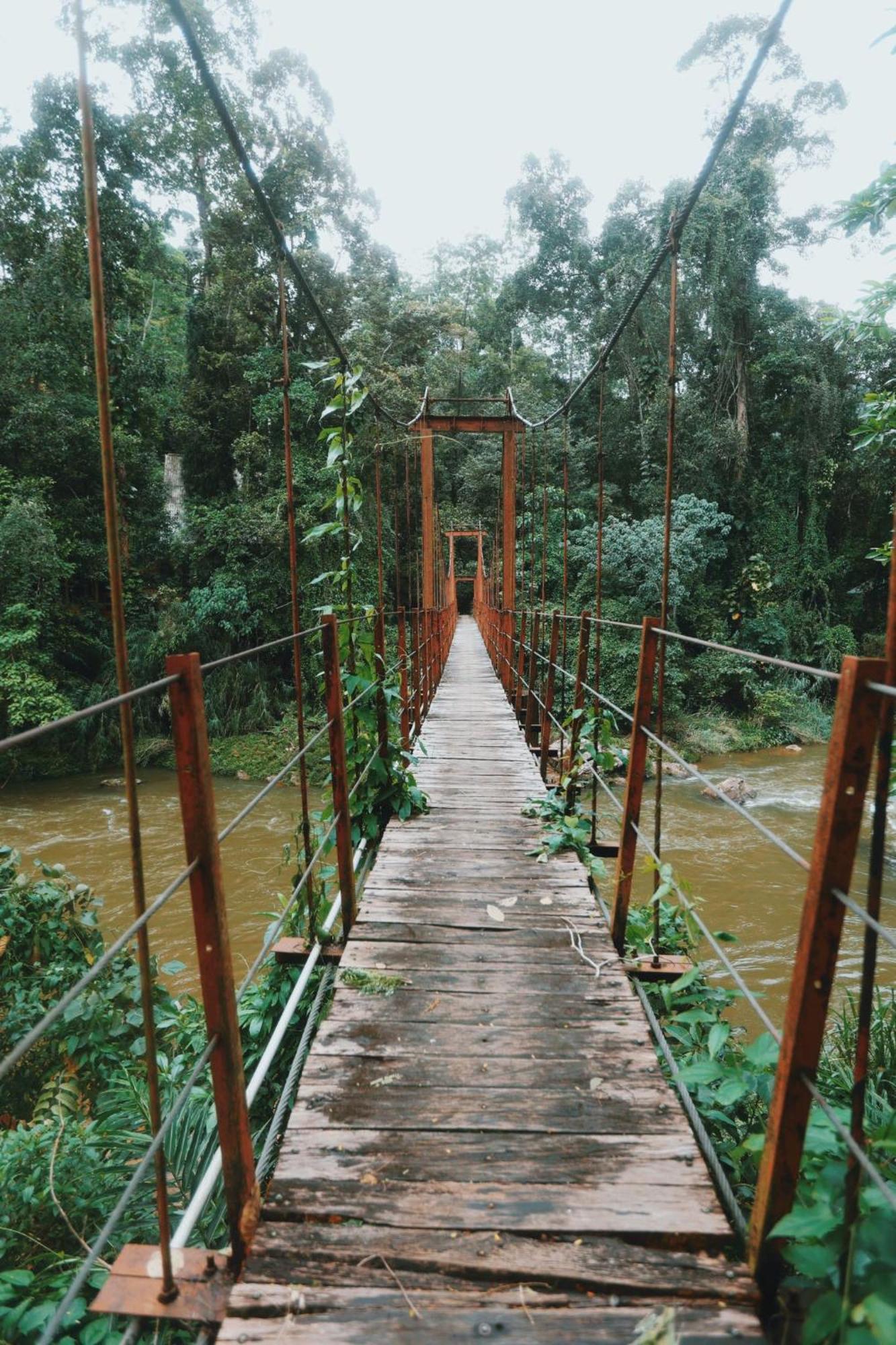 Sinharaja Forest Gate Deniyaya Exterior foto